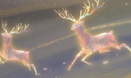 最新九色鹿爆料,揭秘神秘生物的传奇故事与神秘力量