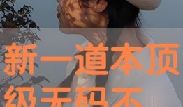 一道本在线观看,本在线观看之旅