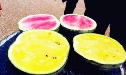 最新吃瓜爆料 河北,最新吃瓜爆料揭秘惊人内幕！”